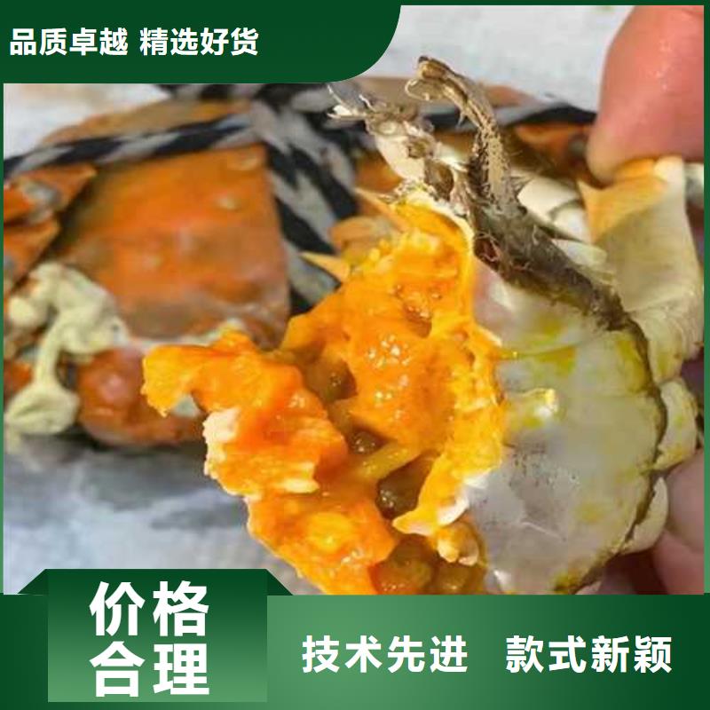 苏州阳澄湖大闸蟹那家实惠好吃
