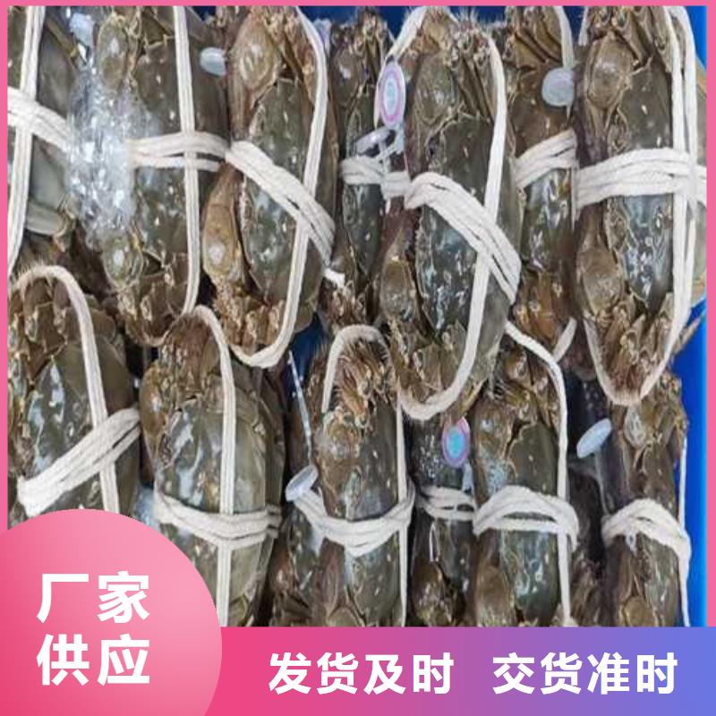 阳澄湖大闸蟹哪家好吃苏州莲花岛顾记蟹庄
