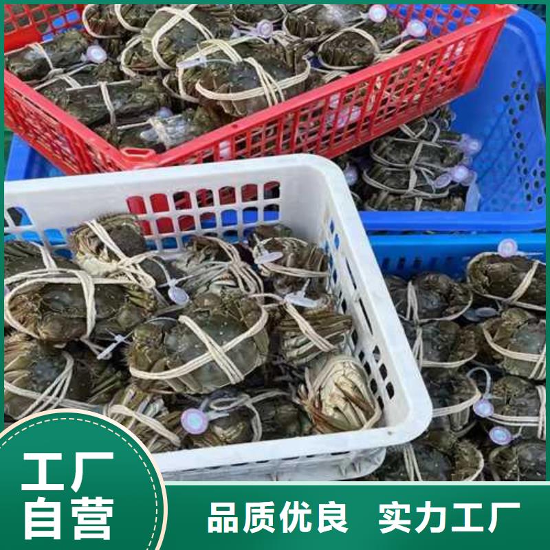 苏州阳澄湖大闸蟹哪家好吃