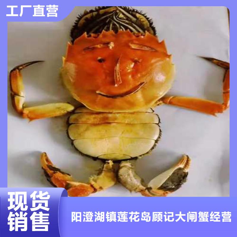莲花岛阳澄湖大闸蟹哪家好