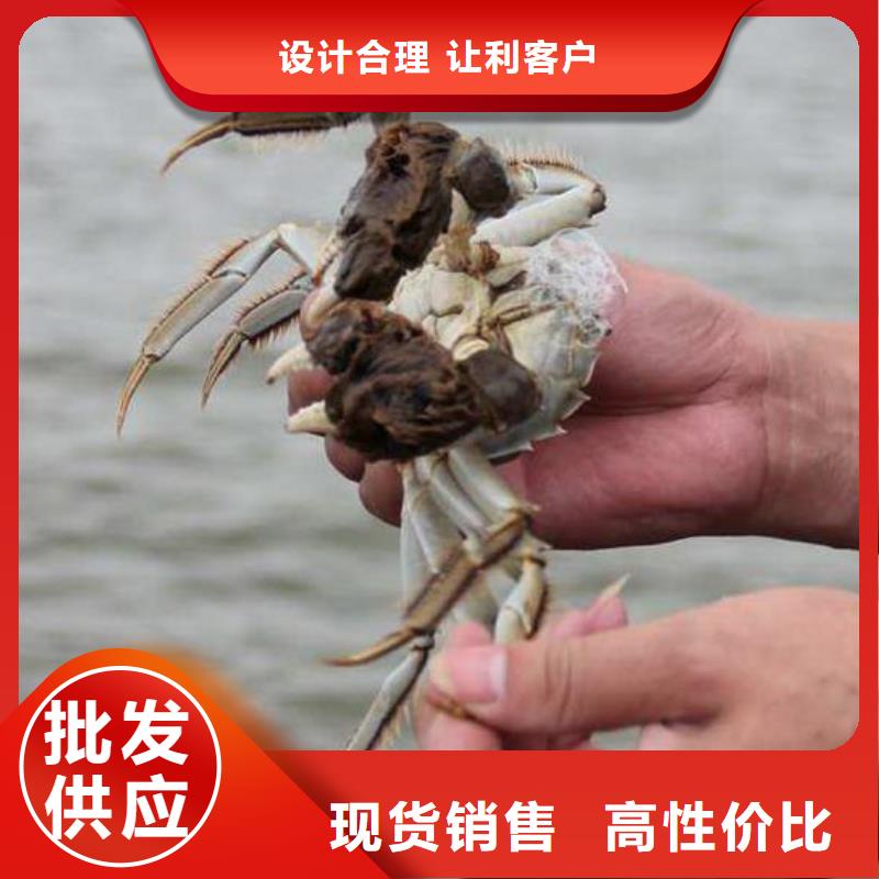 苏州阳澄湖大闸蟹哪家好吃