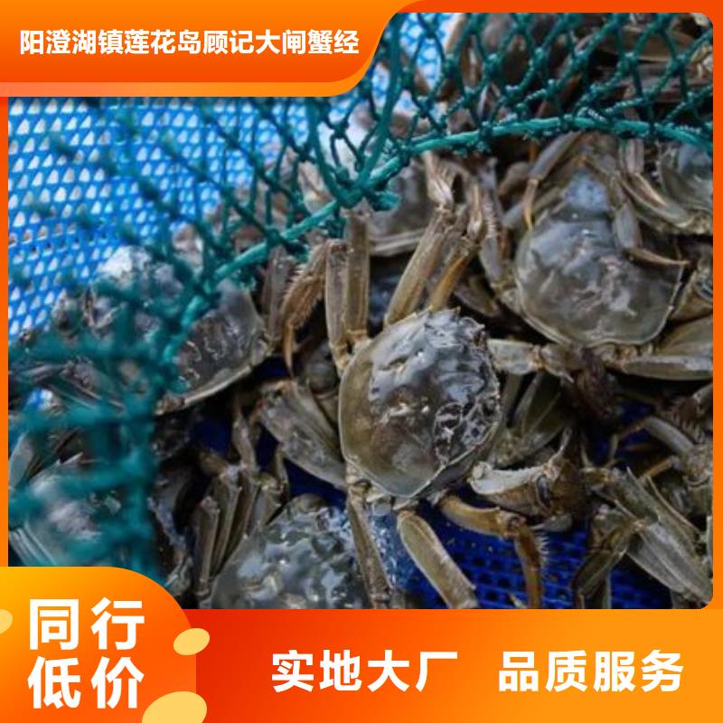 阳澄湖买大闸蟹哪家好阳澄湖吃大闸蟹农家乐比较正宗