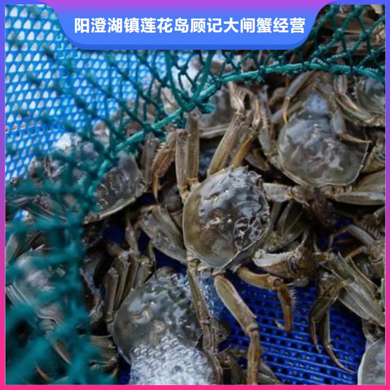 苏州阳澄湖农家乐那家实惠好吃
