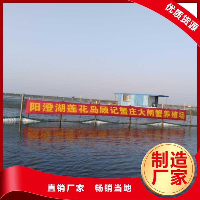 苏州阳澄湖大闸蟹那家实惠好吃