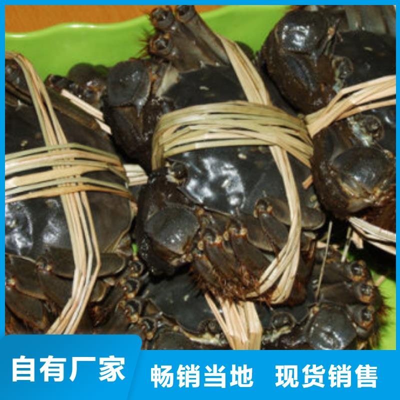 苏州阳澄湖农家乐那家实惠好吃