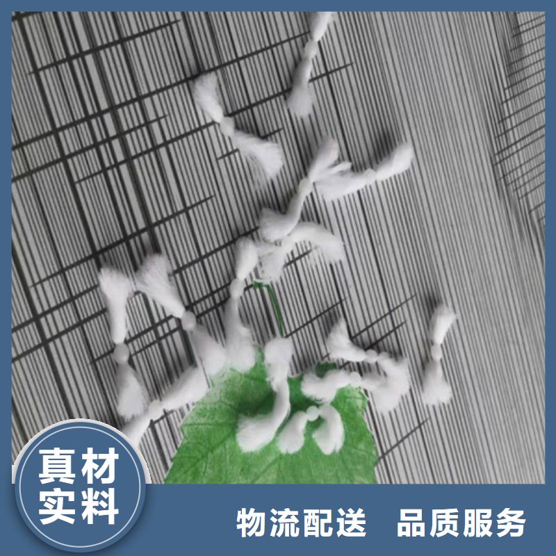 【水处理填料】_污水处理絮凝剂产品细节