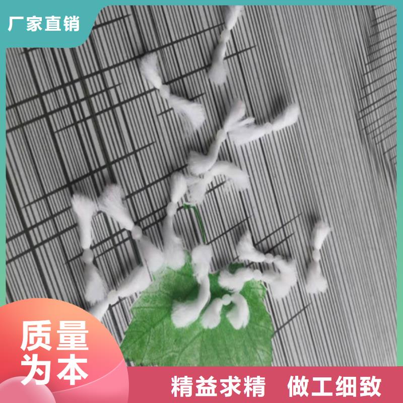 水处理填料COD降解发货及时