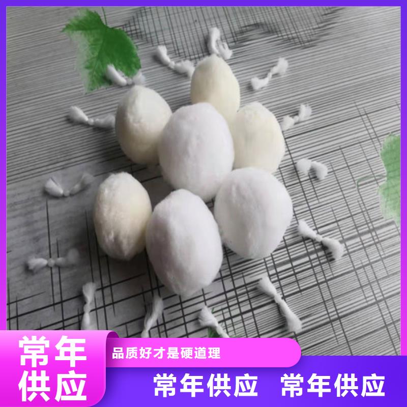 【水处理填料木质柱状活性炭甄选好物】