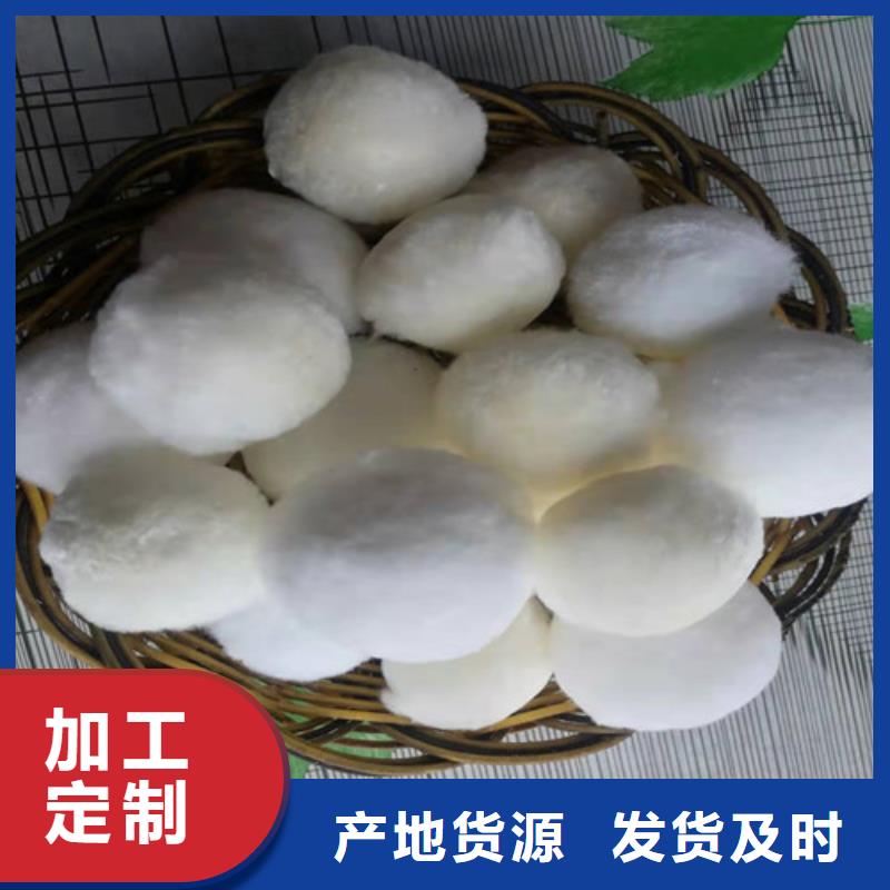 【水处理填料木质柱状活性炭甄选好物】