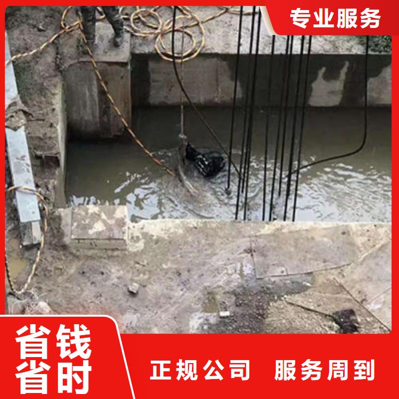 水下作业【水下探摸】良好口碑