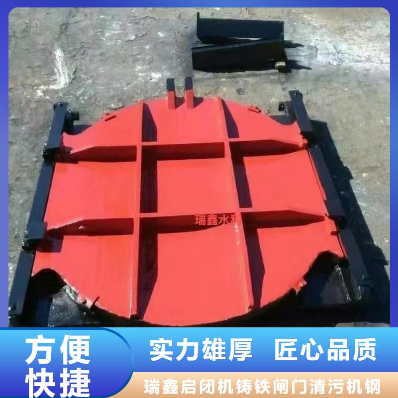 铸铁镶铜园闸门