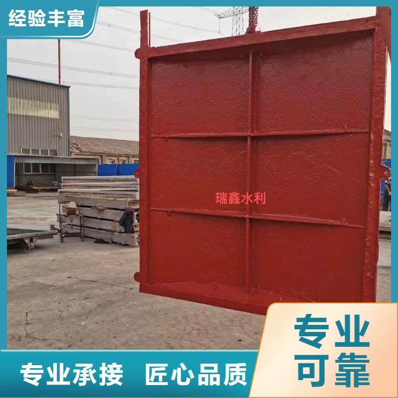 河道铸铁闸门-双向转动闸门实力雄厚