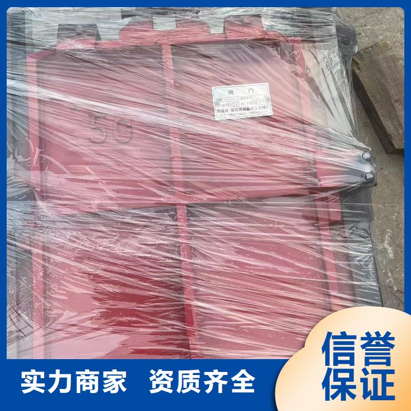 平面拱形闸门-电动铸铁闸门双向受压终身维护