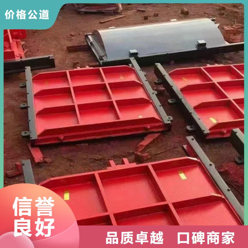 启闭机闸门-镶铜双向铸铁闸门一站式解决方案