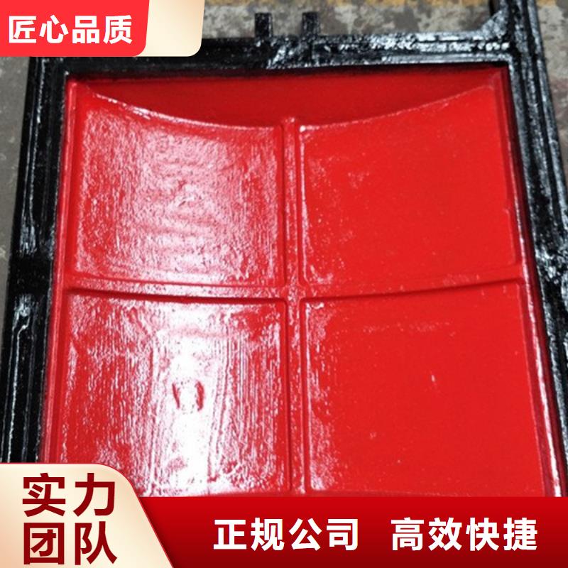 渠道闸门-水电站水渠铸铁闸门环保型