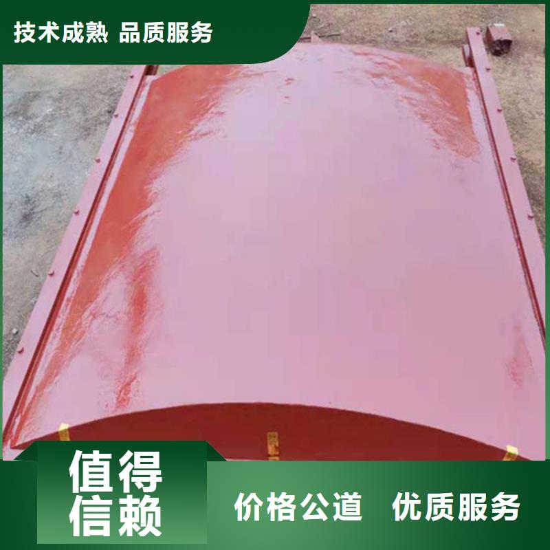 河道铸铁闸门-附壁式双向止水铸铁闸门性价比高