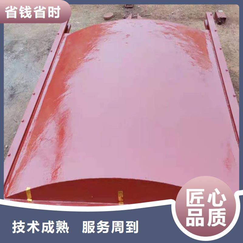 闸门启闭机-平面闸门带直联启闭机24小时售后服务