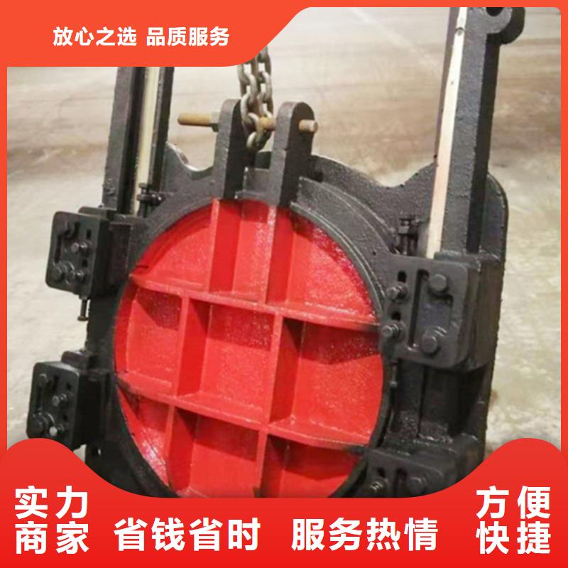一体式铸铁闸门