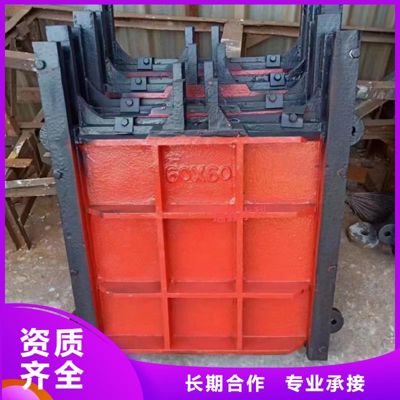 琼中县铸铁镶铜闸门-双向铸铁镶铜闸门经验丰富