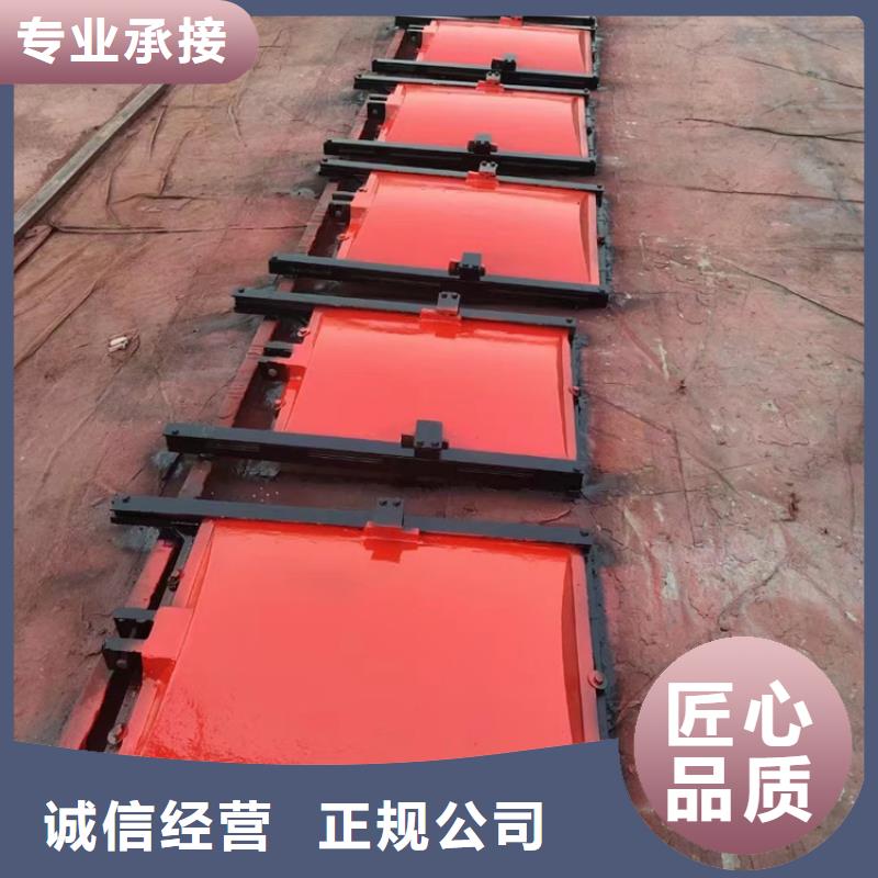 渠道闸门-异形铸铁双向止水闸门经验丰富