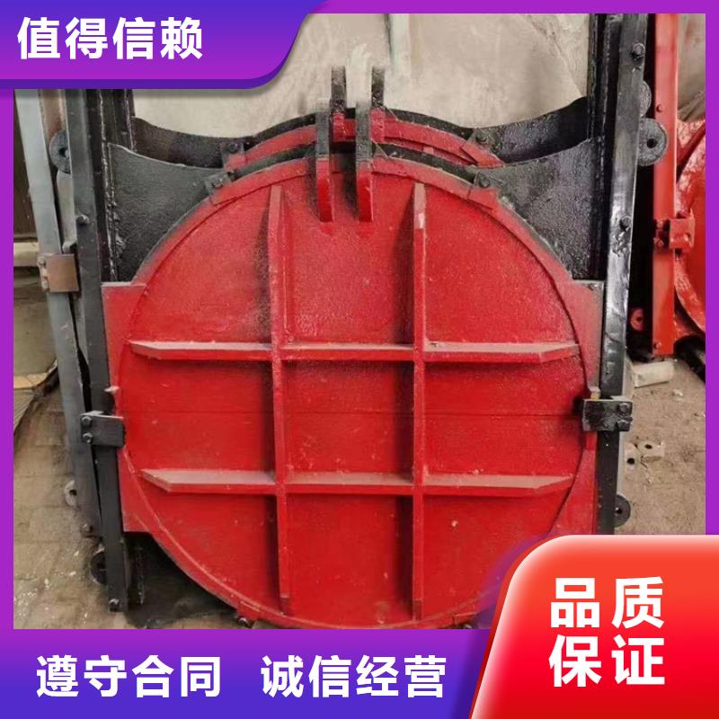 启闭机闸门-镶铜双向铸铁闸门一站式解决方案