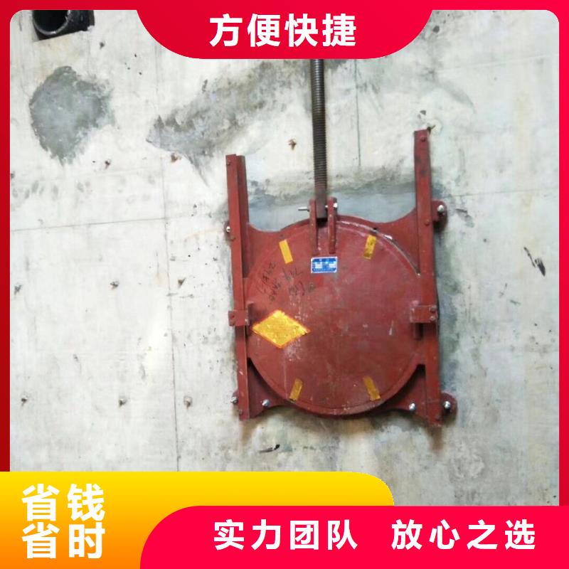 琼中县铸铁镶铜闸门-双向铸铁镶铜闸门经验丰富