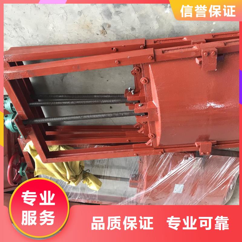 渠道闸门-河道铸铁闸门实力雄厚