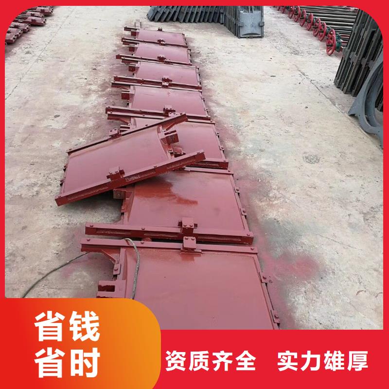 启闭机闸门-平板钢闸门口碑极佳