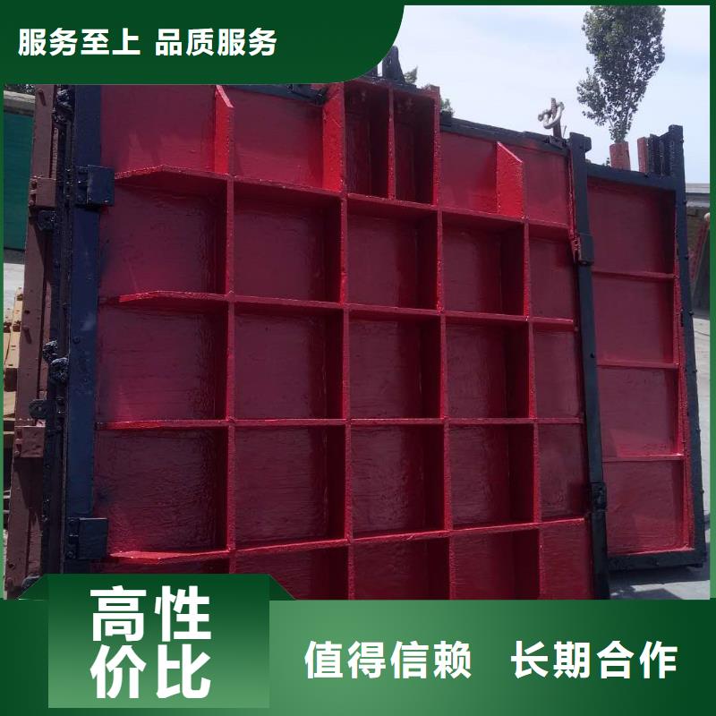 渠道闸门-异形铸铁双向止水闸门自动化
