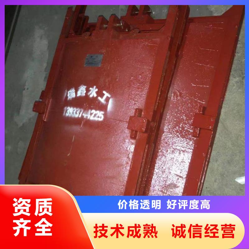 渠道闸门-水电站水渠铸铁闸门环保型