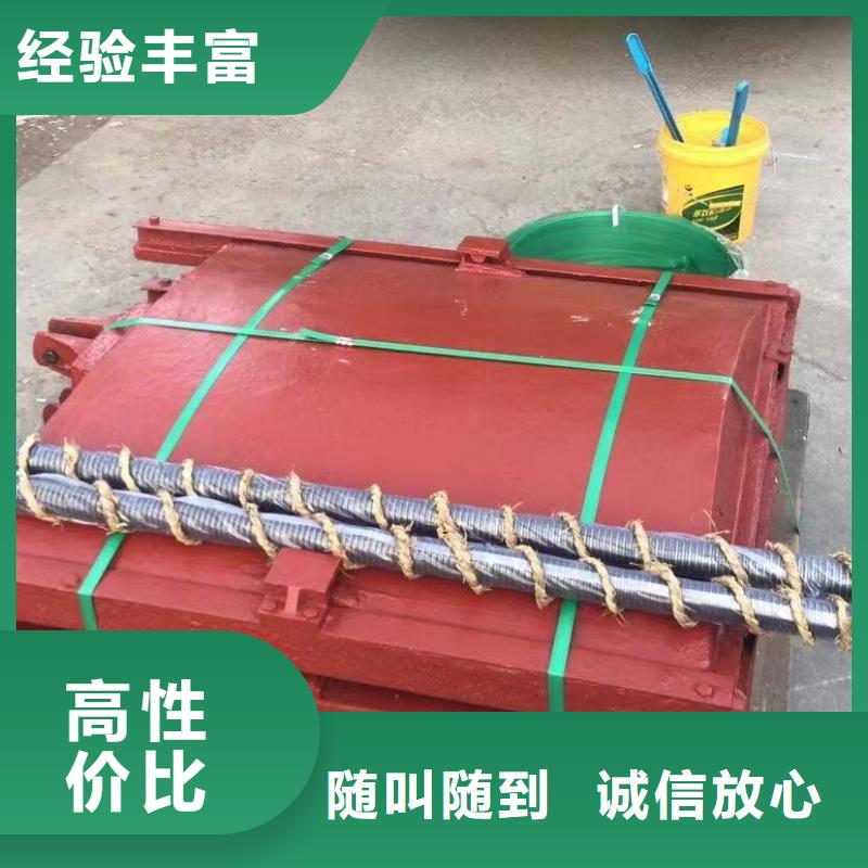 启闭机闸门-镶铜双向铸铁闸门一站式解决方案