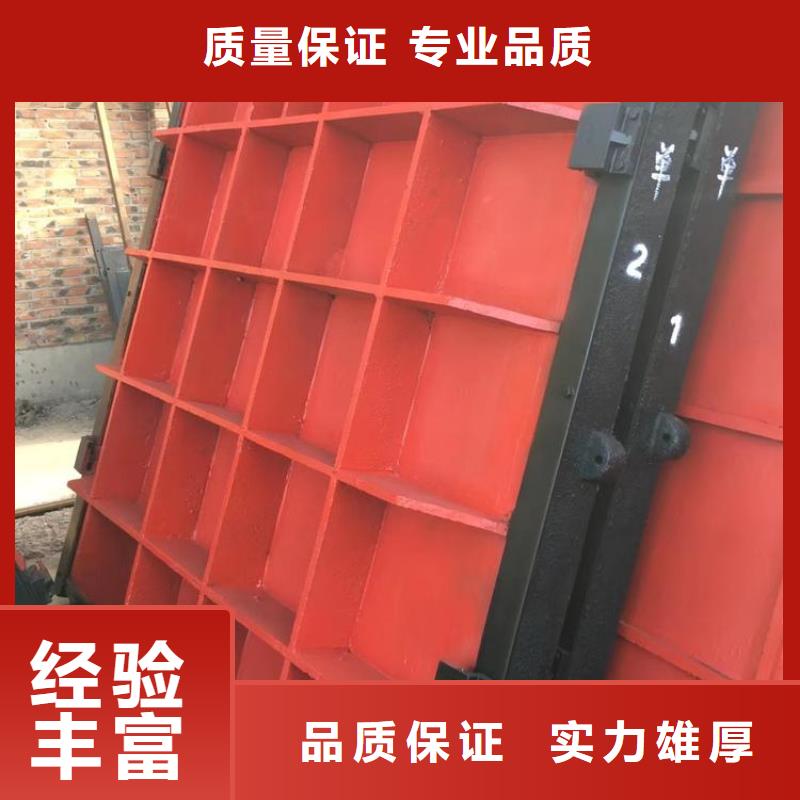 定安县高压铸铁闸门
