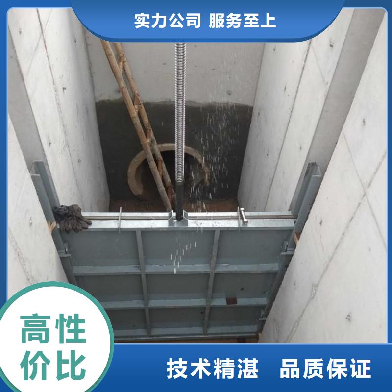 启闭机闸门-pz平板平面铸铁闸门源头厂家