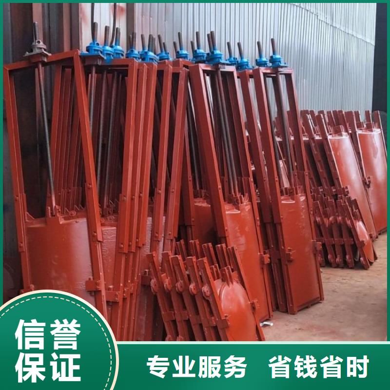 高压铸铁闸门