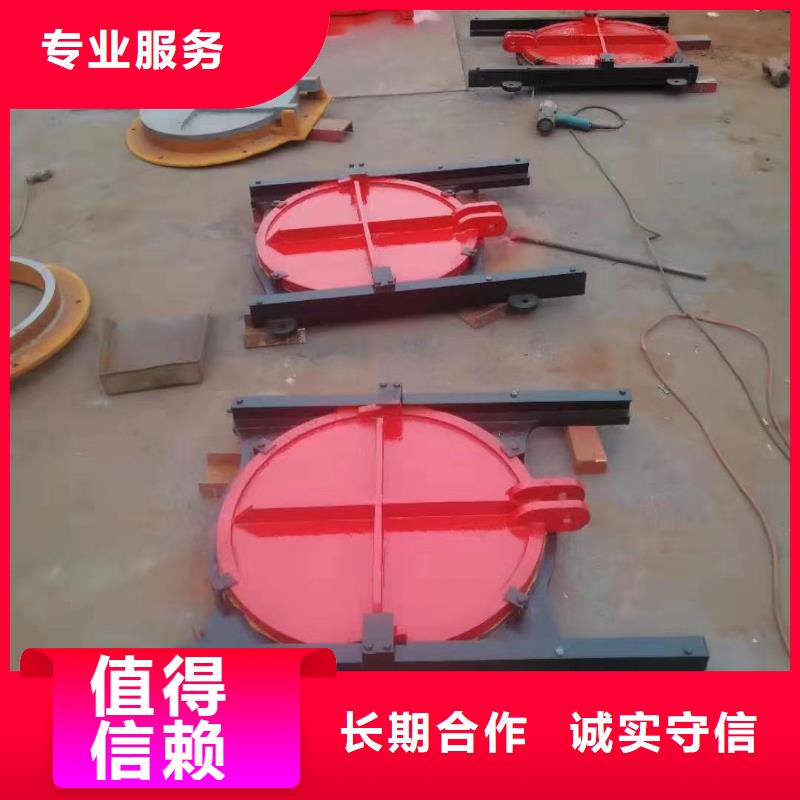 双向止水铸铁闸门