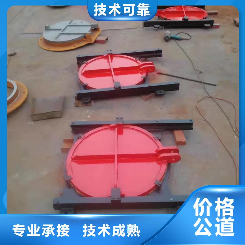 双向铸铁镶铜闸门