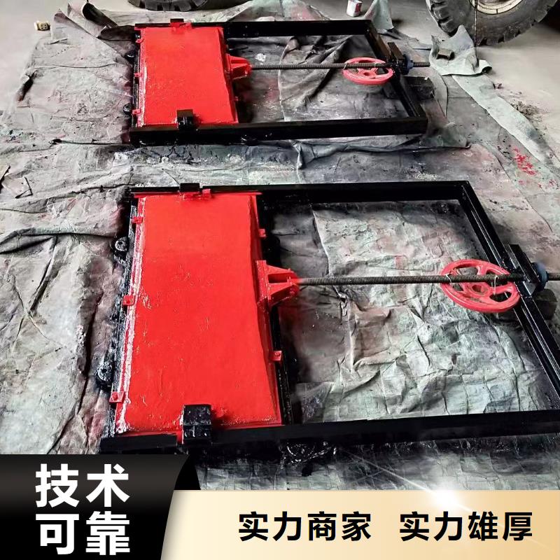 镶铜铸铁闸门量大从优
