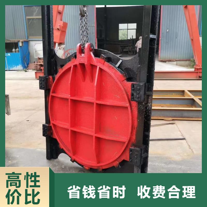 启闭机闸门-镶铜双向铸铁闸门一站式解决方案