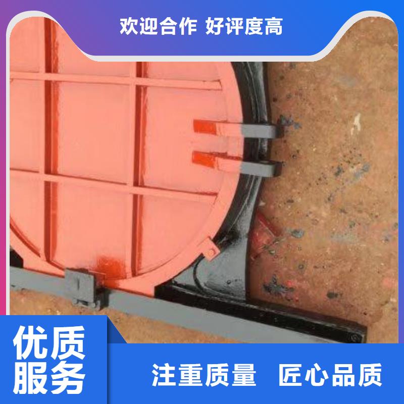 启闭机闸门-p型止水带闸门水封性价比高