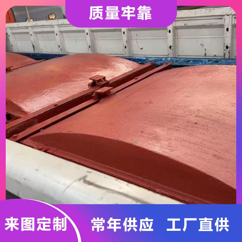 启闭机闸门-p型止水带闸门水封性价比高