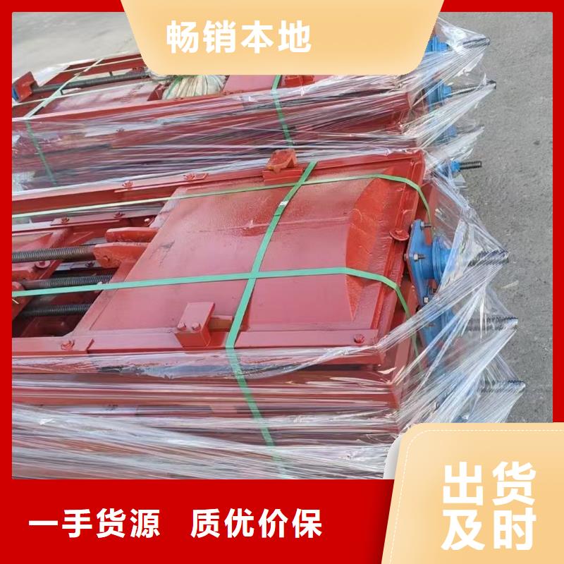 铸铁镶铜园闸门