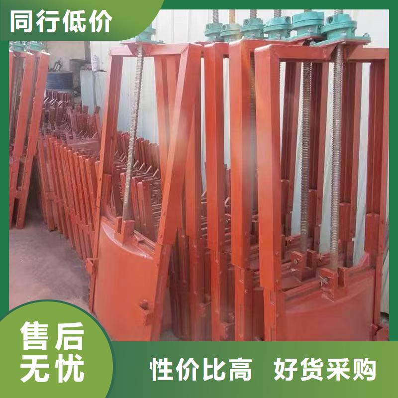 双向铸铁镶铜闸门