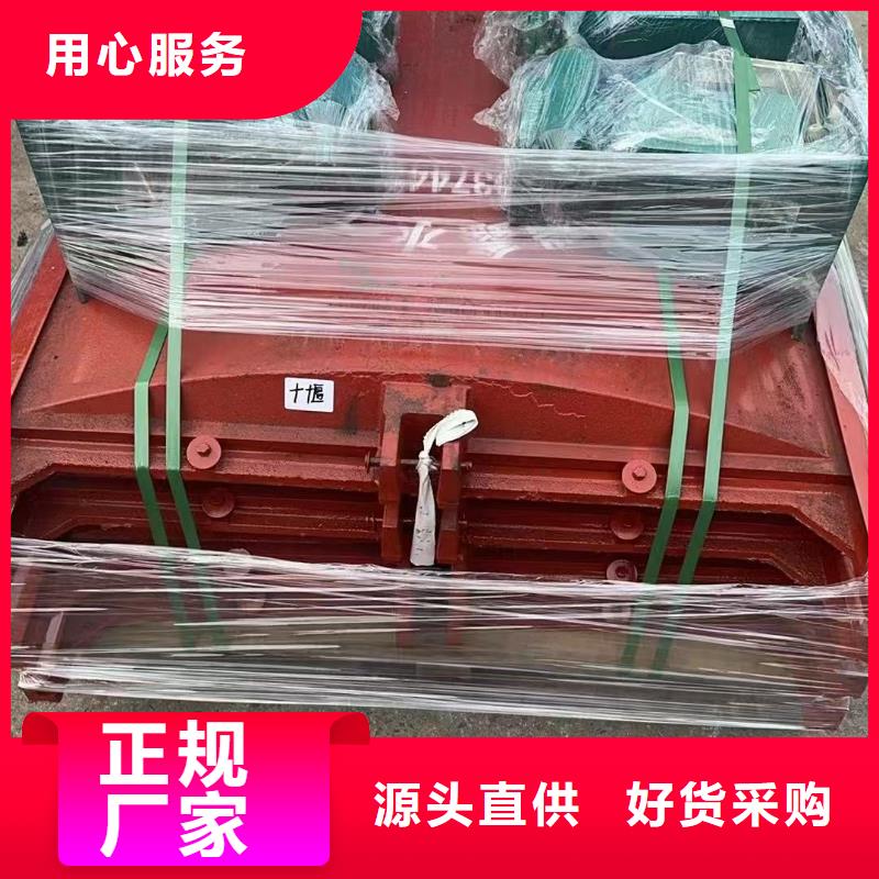 闸门启闭机-河灌区闸门经久耐用
