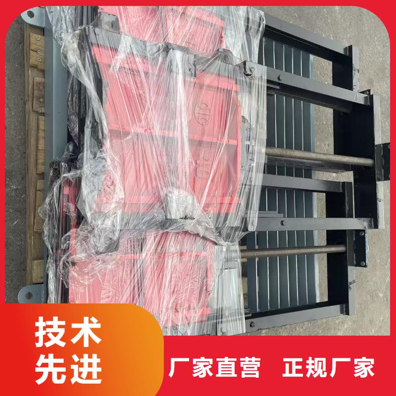 闸门启闭机-平面铸铁闸门实力雄厚