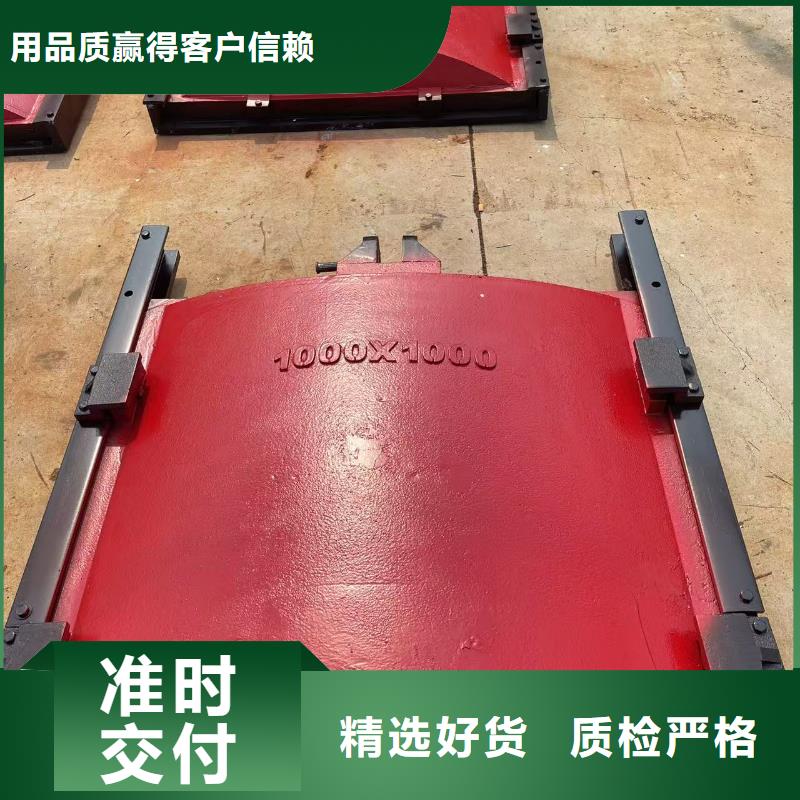 铸铁镶铜闸门-异形铸铁双向止水闸门实力雄厚