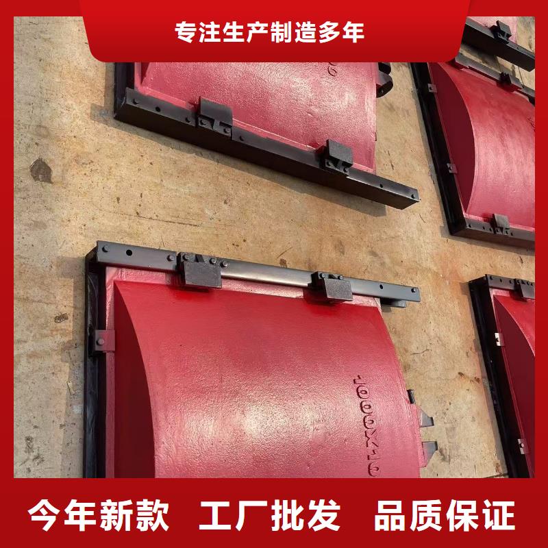 闸门软密封