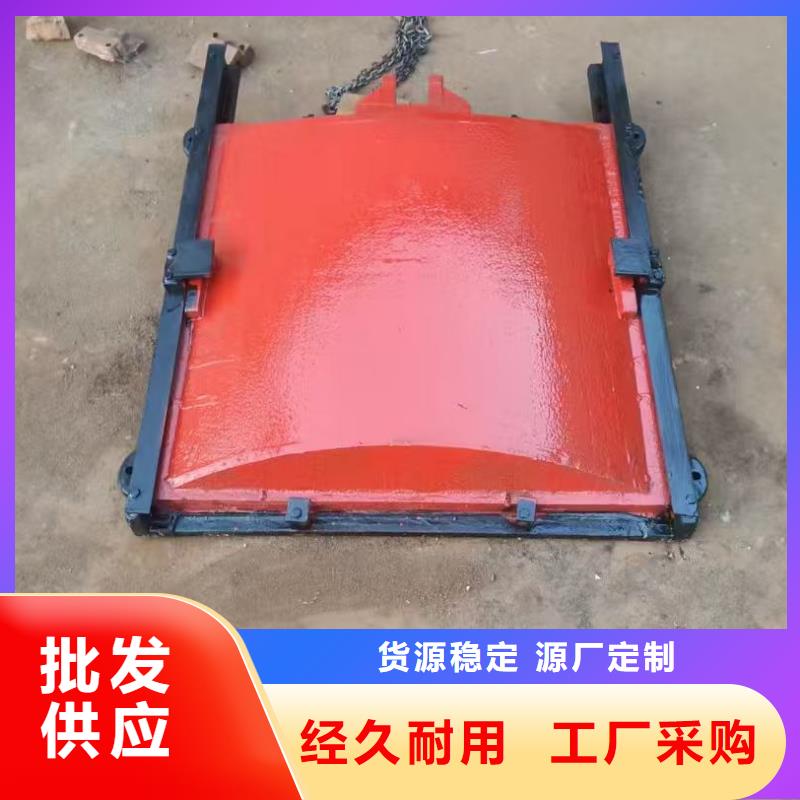 渠道闸门-闸门启闭器自动化