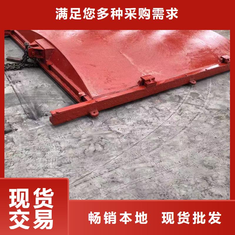 河道铸铁闸门-ZMQF铸铁镶铜闸门品质卓越