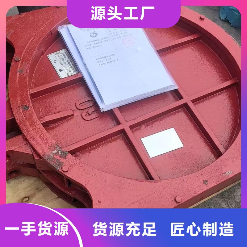 平面拱形闸门-铸铁闸门螺杆启闭机终身维护