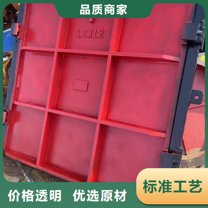 启闭机闸门-水电站启闭机闸门快速响应